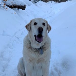 Meet your Posher, Jed